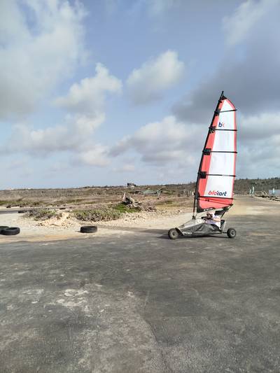 Blokart photo