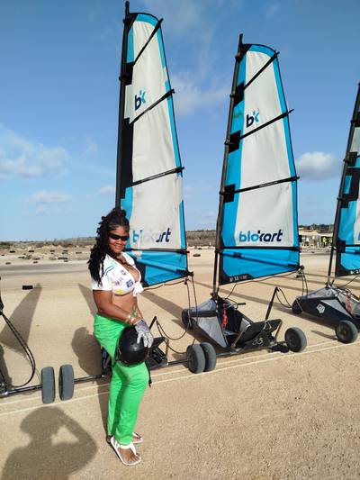 Blokart photo