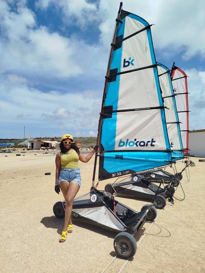 Blokart photo