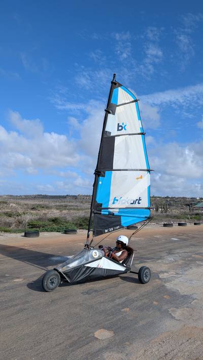 Blokart photo