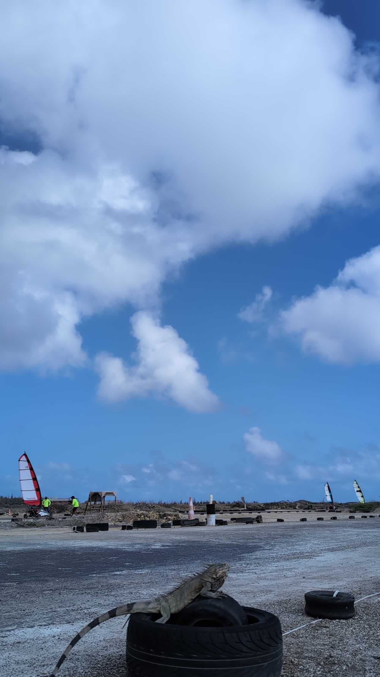 Blokart video