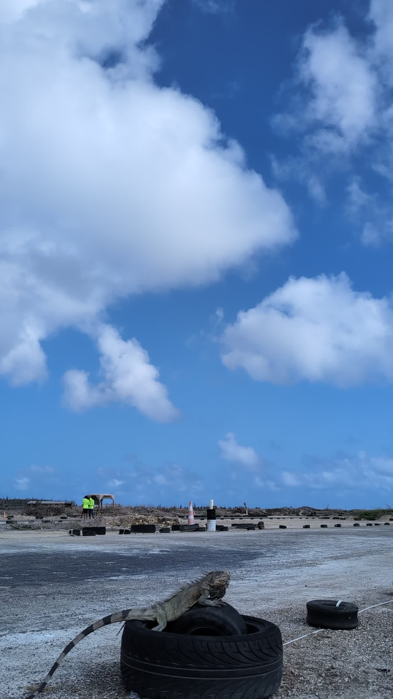 Blokart video