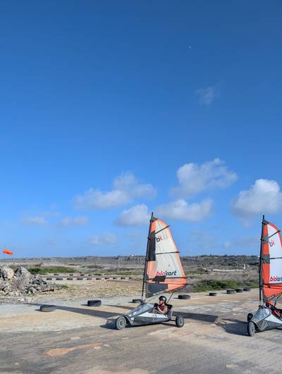 Blokart photo